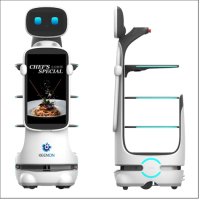 KEENON - DINERBOT T10 